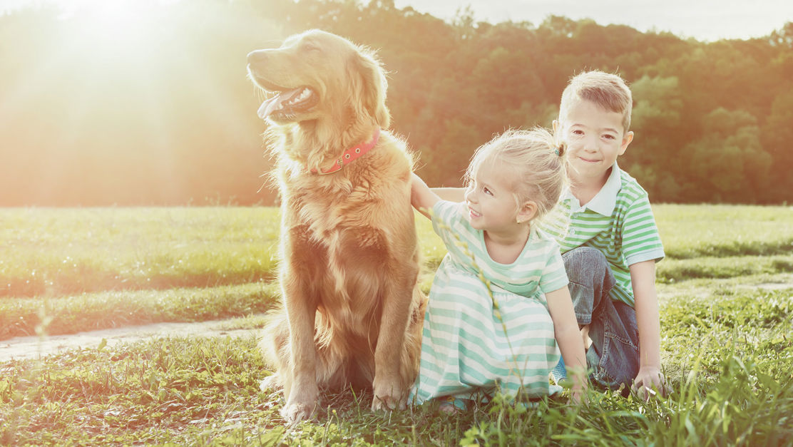 Kinder mit grossem Hund auf der Wiese haben ein kostenloses Sparkonto bei der TKB.